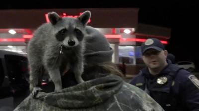 On Patrol: Live