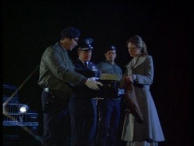The Bionic Woman