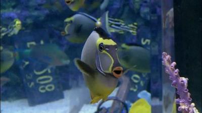 Tanked