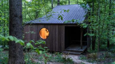 The Cabin Chronicles