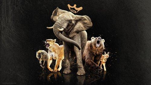 Queens filmas žiurėti online