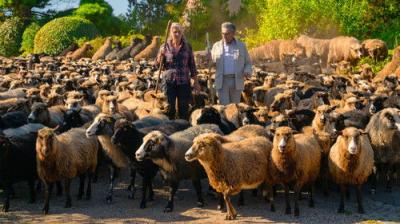 The Reluctant Traveller with Eugene Levy