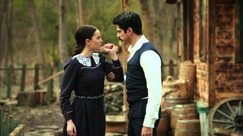 Çalıkuşu filmas žiurėti online