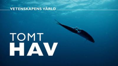 Vetenskapens värld