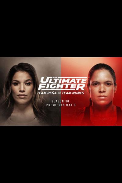 The Ultimate Fighter filmas online