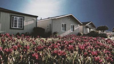 Neighborhood Wars