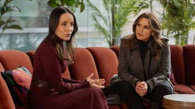 Įstatymas ir tvarka. Specialiųjų tyrimų skyrius