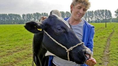 Löwenzahn