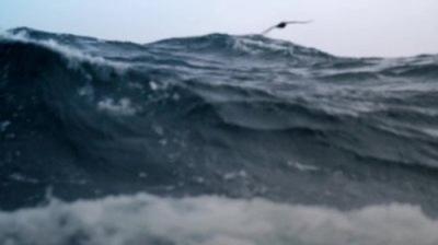 Deadliest Catch