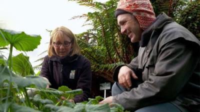 Gardening Australia