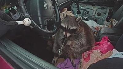 My Strange Arrest