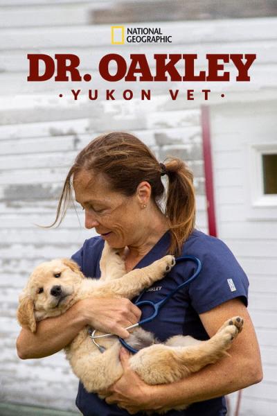 Dr. Oakley, Yukon Vet filmas online