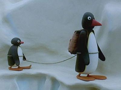 Pingu