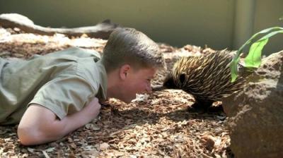 Crikey! It's the Irwins
