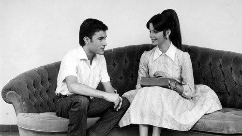 Estúpido Cupido filmas žiurėti online