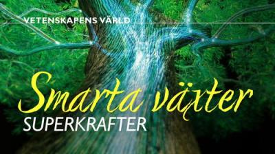 Vetenskapens värld