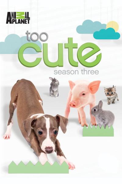 Too Cute filmas online