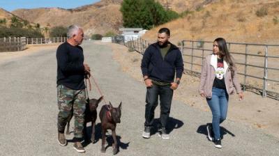 Cesar Millan: Better Human, Better Dog
