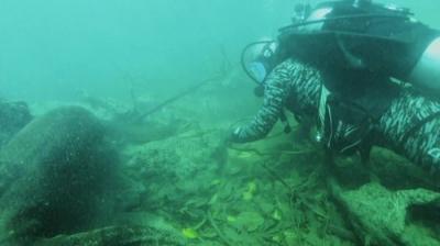 River Monsters