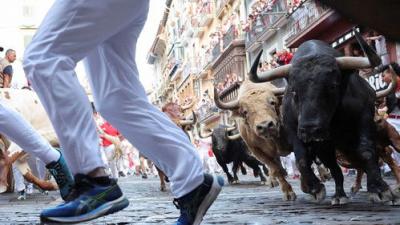 Vive San Fermín