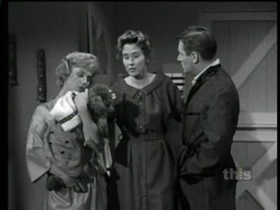 Mister Ed