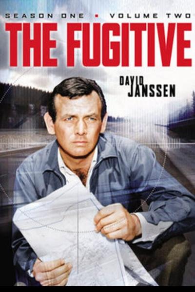The Fugitive filmas online