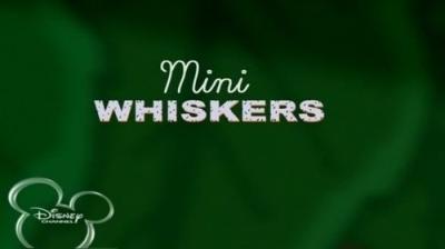 Brandy & Mr. Whiskers