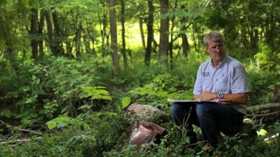 Treehouse Masters