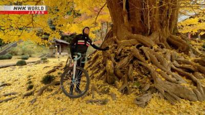 Cycle Around Japan