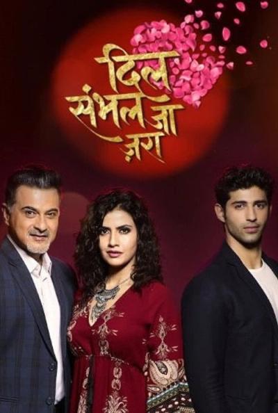 Dil Sambhal Jaa Zara filmas online