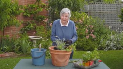 Gardening Australia