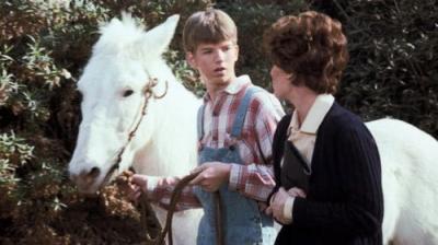 The Waltons