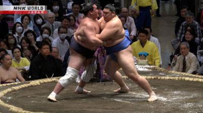 GRAND SUMO Highlights