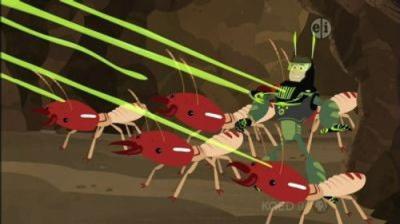 Wild Kratts