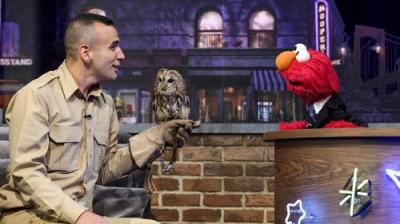 The Not-Too-Late Show with Elmo