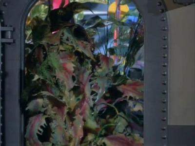 Voyage to the Bottom of the Sea