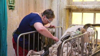 I'm a Celebrity...Get Me Out of Here!
