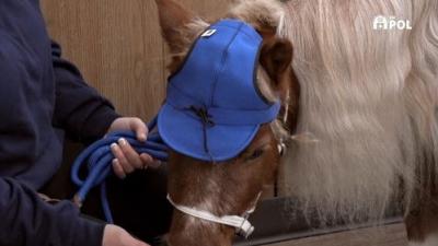 The Incredible Dr. Pol