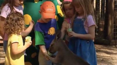 The Wiggles