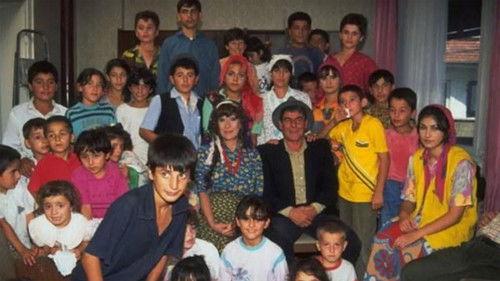 Kaygısızlar filmas žiurėti online
