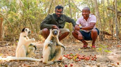 The Misadventures of Romesh Ranganathan
