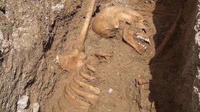 Digging for Britain