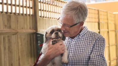 For the Love of Dogs