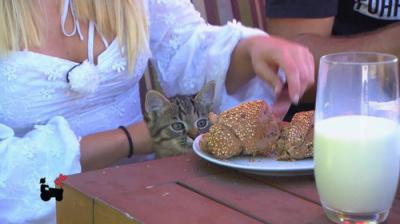 Bauer sucht Frau