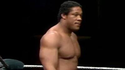 WWF All-Star Wrestling