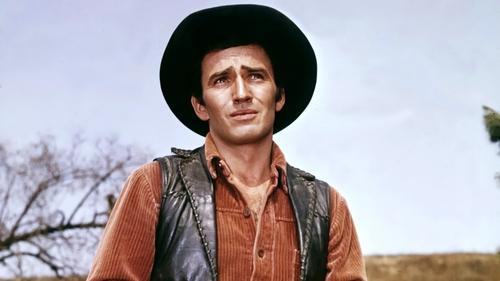 The Virginian filmas žiurėti online