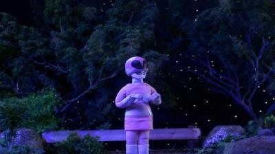 Robot Chicken