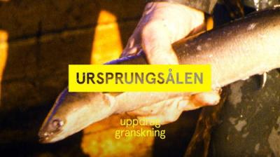 Uppdrag granskning