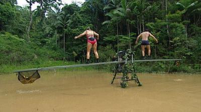 I'm a Celebrity...Get Me Out of Here!