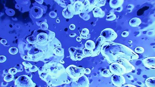 Liquid Television filmas žiurėti online